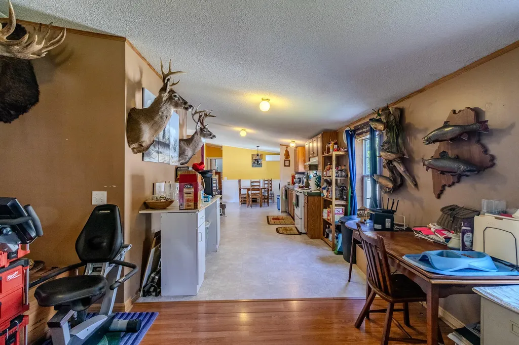 307 Hog Bay Road Franklin ME 04634