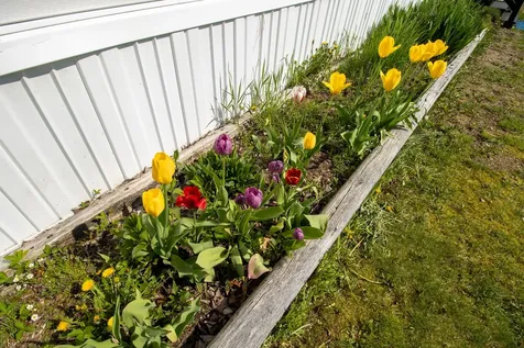 307 Hog Bay Road Franklin ME 04634