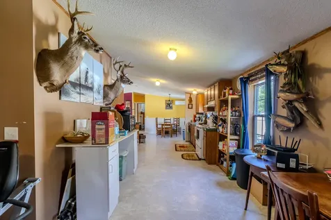 307 Hog Bay Road Franklin ME 04634