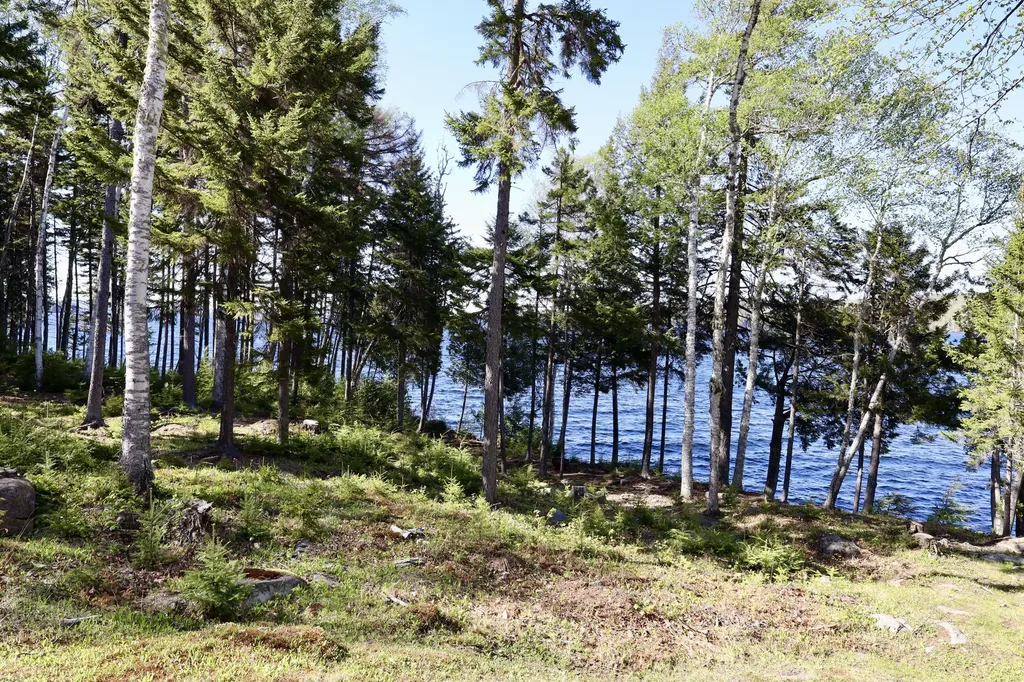 Big Moose Twp ME 04442