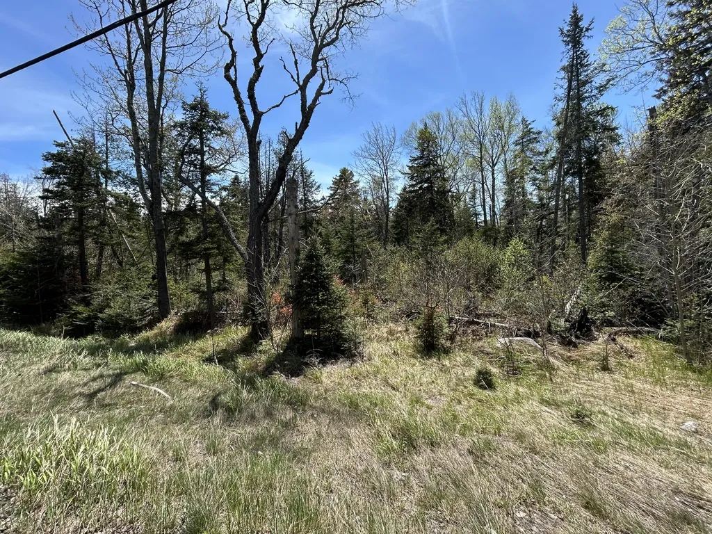 M17/L52-1 Stinchfield Road Sandy River Plt ME 04970