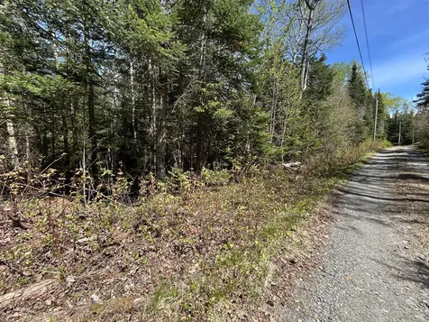 M17/L52-1 Stinchfield Road Sandy River Plt ME 04970
