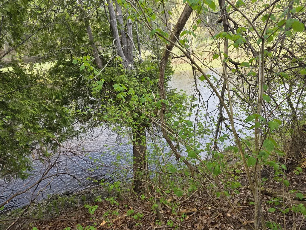 46 Harding Street Island Falls ME 04747