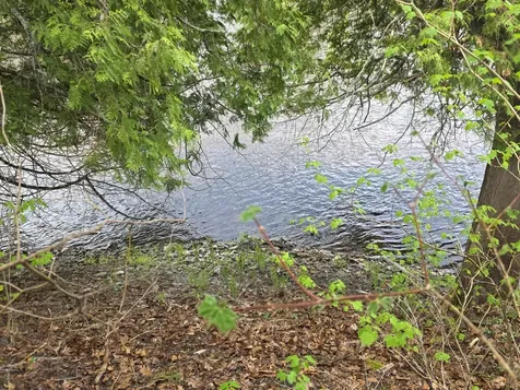 46 Harding Street Island Falls ME 04747