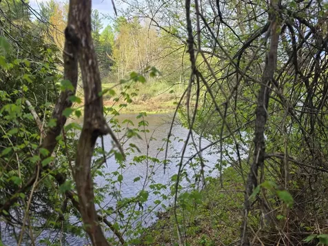 46 Harding Street Island Falls ME 04747