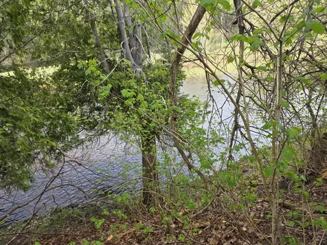 46 Harding Street Island Falls ME 04747