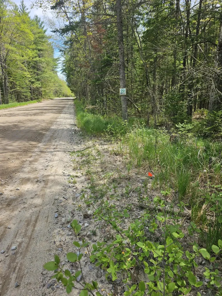 M#11 L44b Yeaton Swamp Road Oxford ME 04270