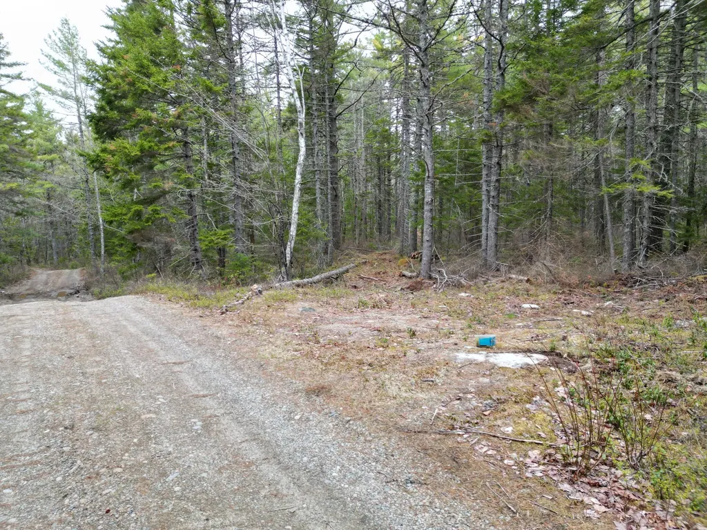 1323 Deer Haven Wesley ME 04686