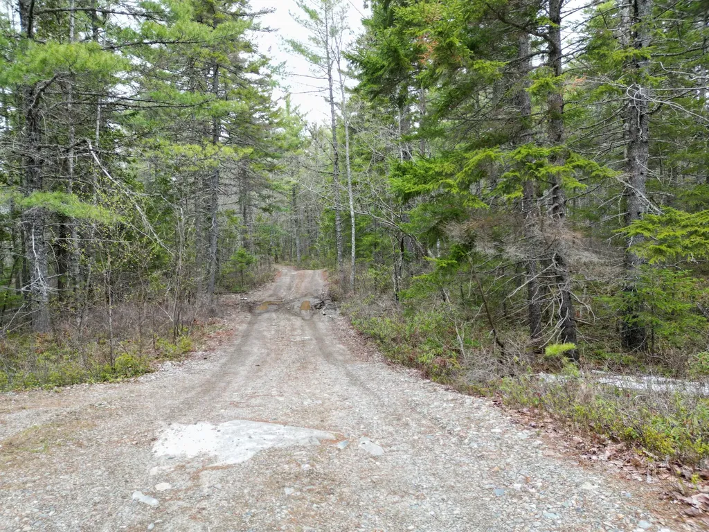 1323 Deer Haven Wesley ME 04686