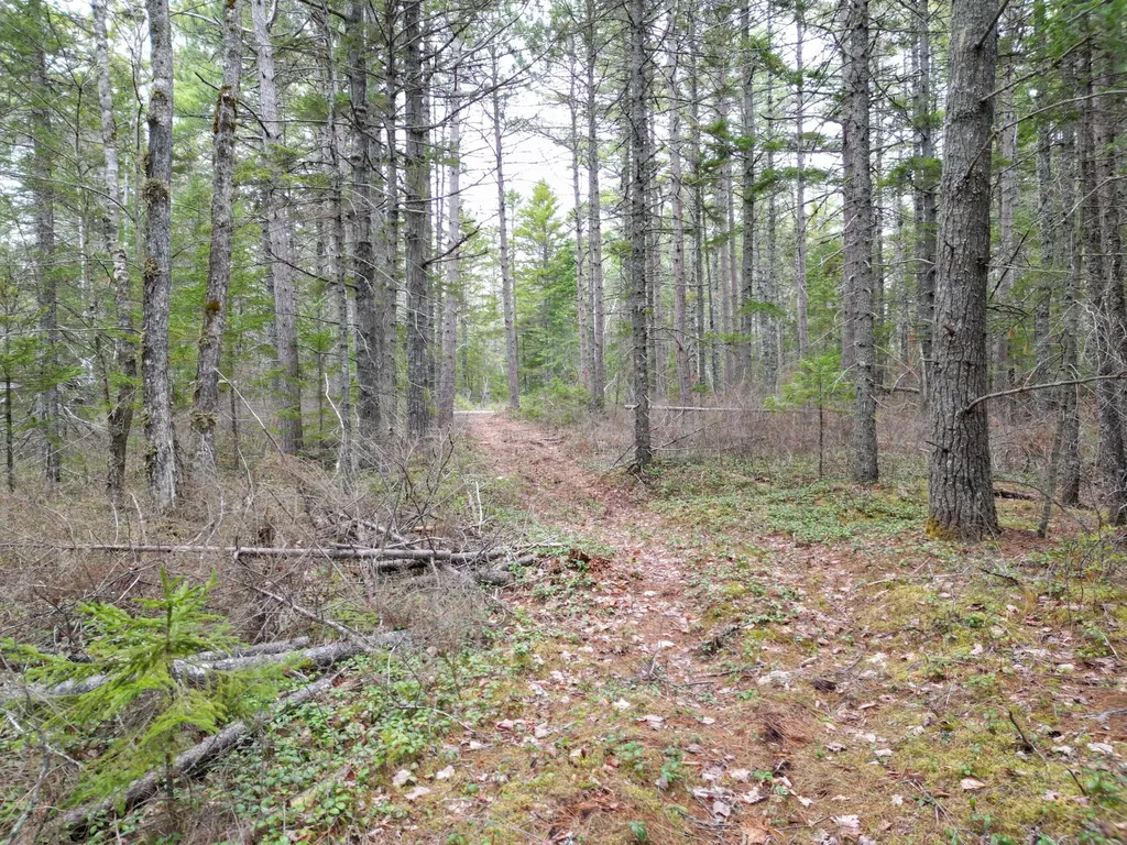 1323 Deer Haven Wesley ME 04686
