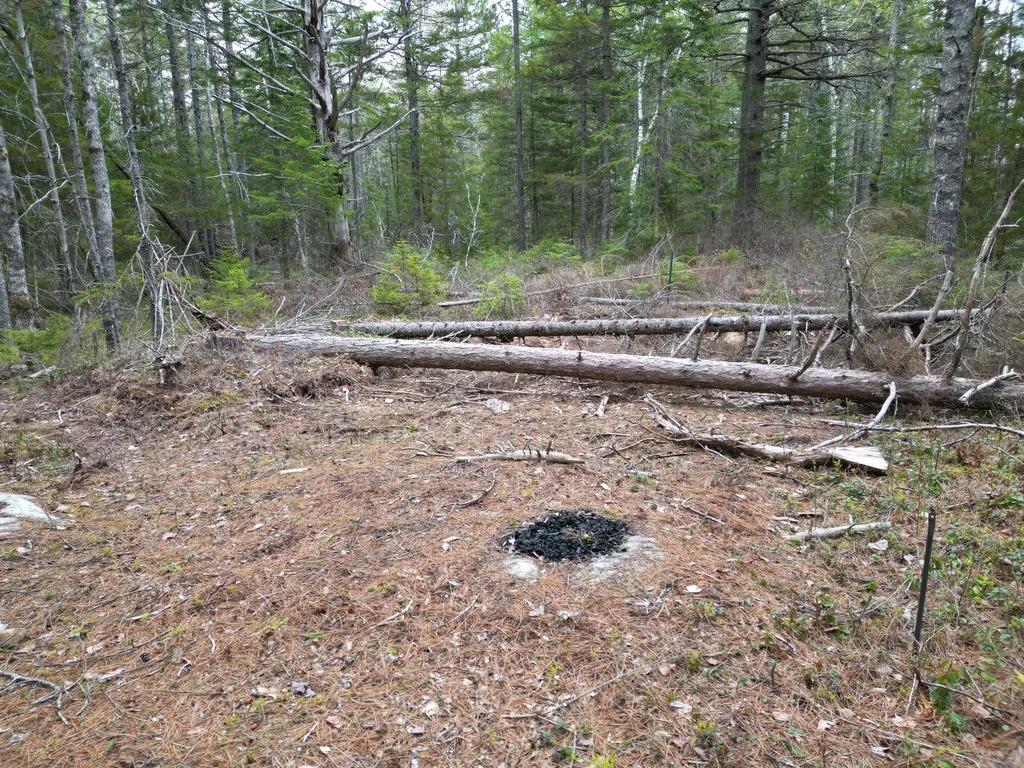 1323 Deer Haven Wesley ME 04686
