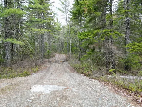 1323 Deer Haven Wesley ME 04686