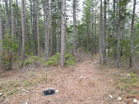 1323 Deer Haven Wesley ME 04686
