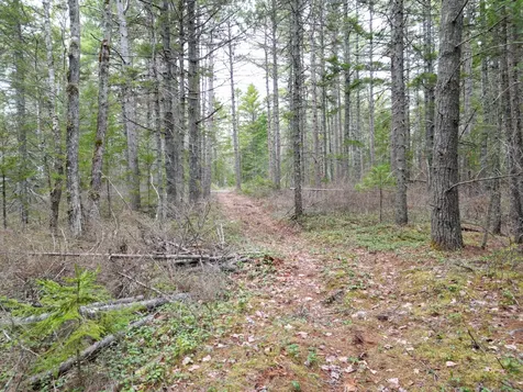1323 Deer Haven Wesley ME 04686