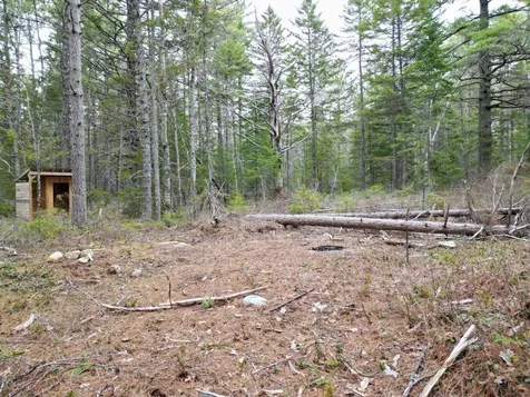 1323 Deer Haven Wesley ME 04686
