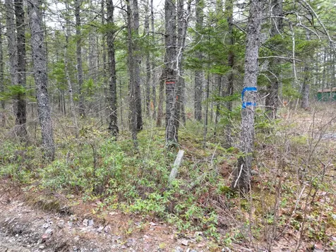 1323 Deer Haven Wesley ME 04686