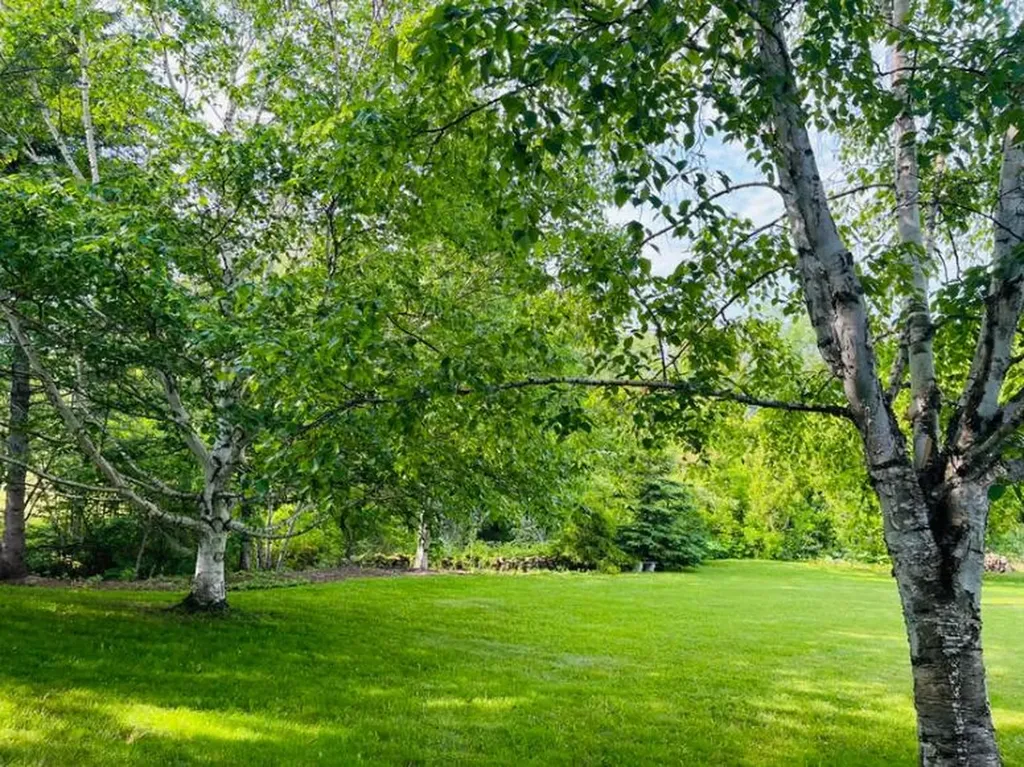 27 Reach Road Presque Isle ME 04769