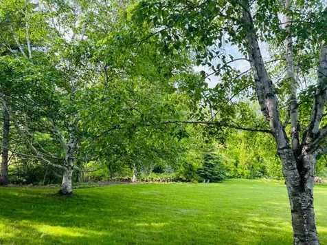 27 Reach Road Presque Isle ME 04769