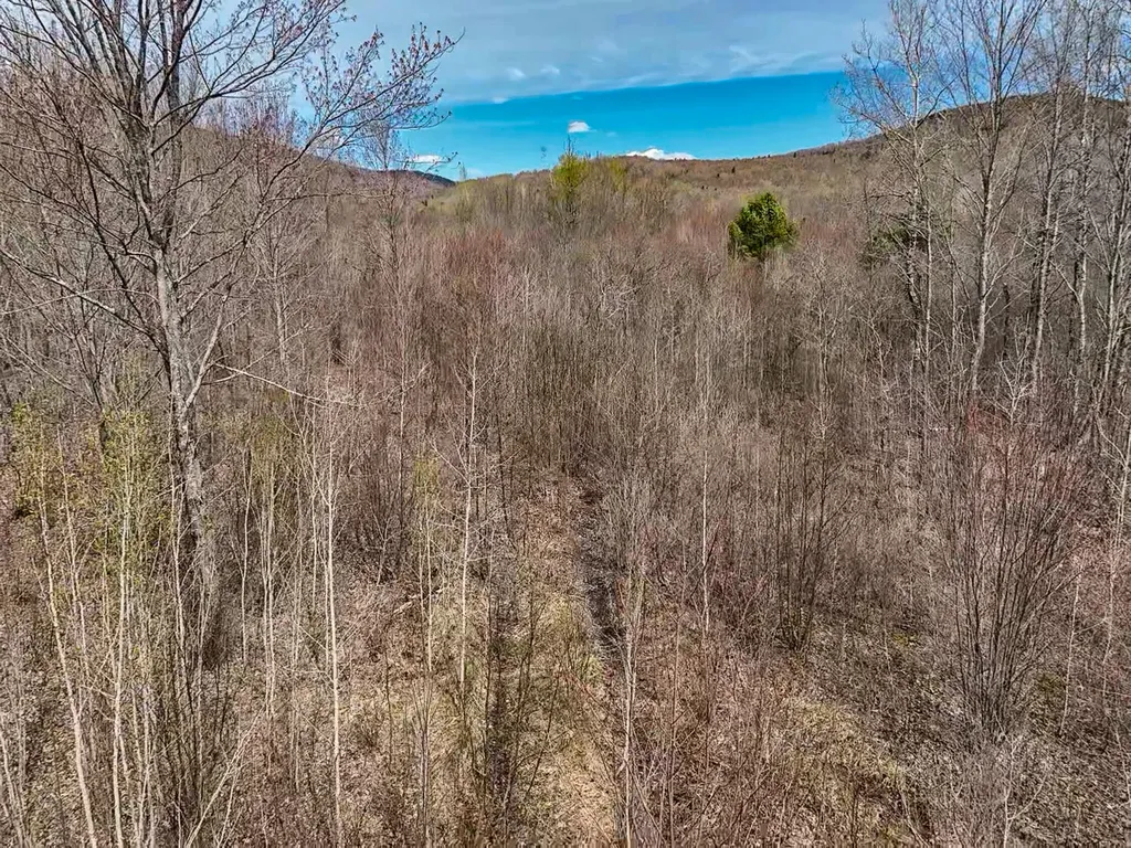 0 Center Hill Road Weld ME 04285