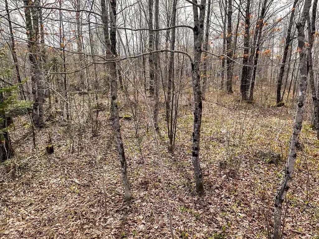 0 Center Hill Road Weld ME 04285