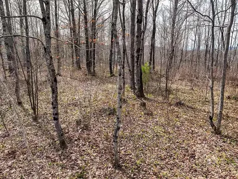 01 Center Hill Road Weld ME 04285