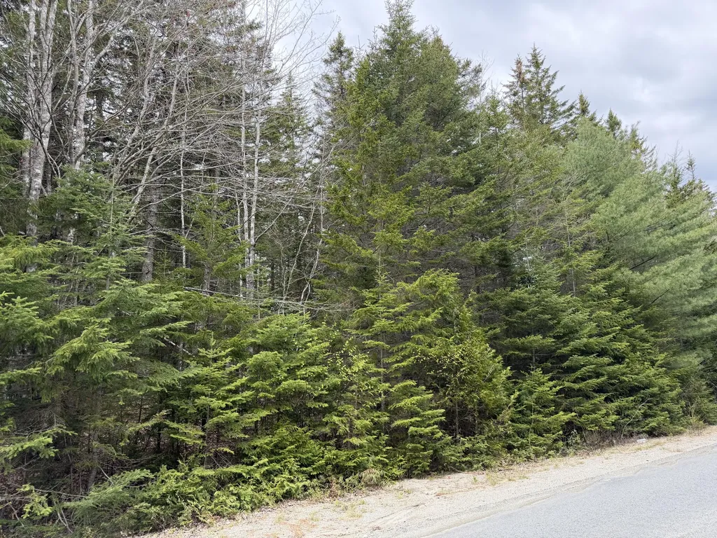 2-C Gouldsboro Point Road Gouldsboro ME 04607
