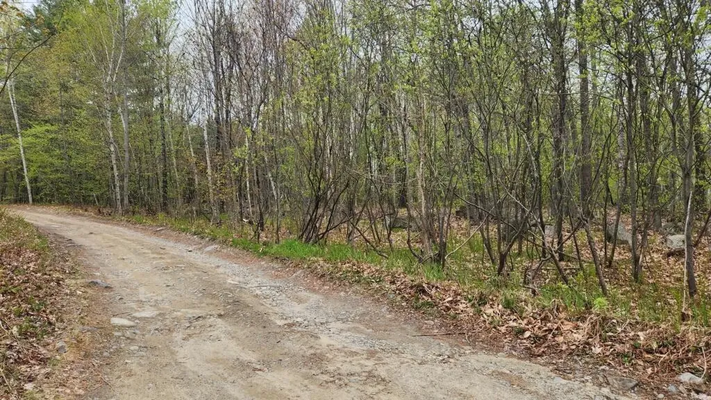Lot 019 Olivewood Circle Wilton ME 04294