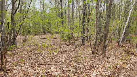 Lot 019 Olivewood Circle Wilton ME 04294
