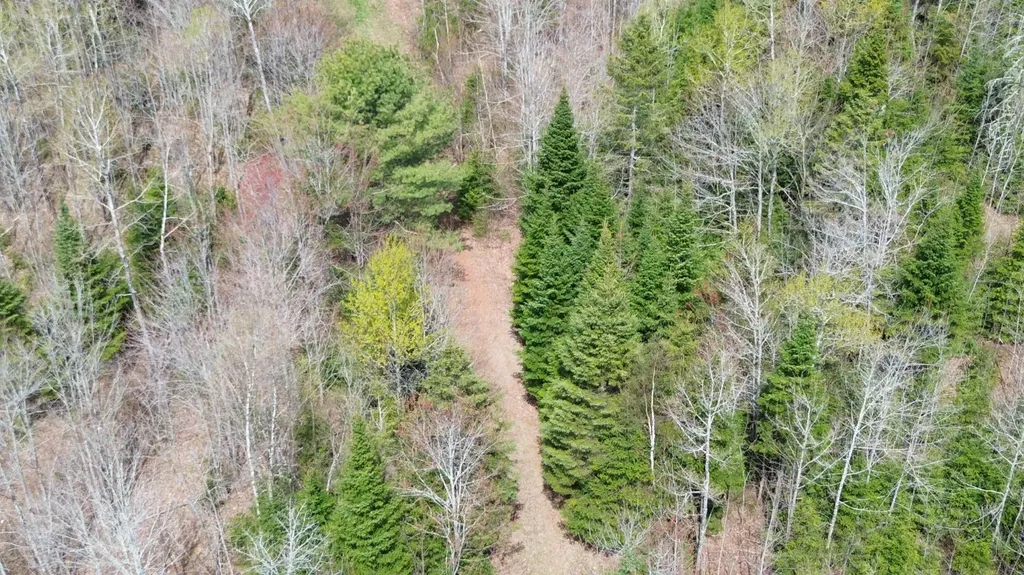 Lot 7 Wilcox Road Cary Plt ME 04471