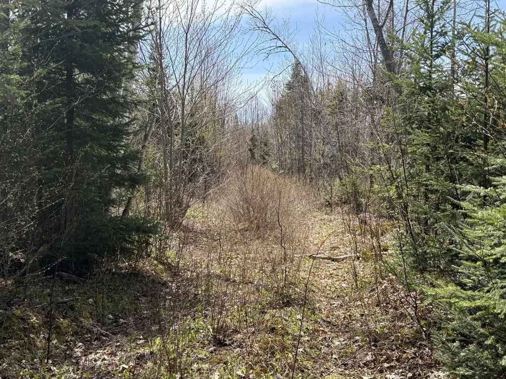 Lot 7 Wilcox Road Cary Plt ME 04471