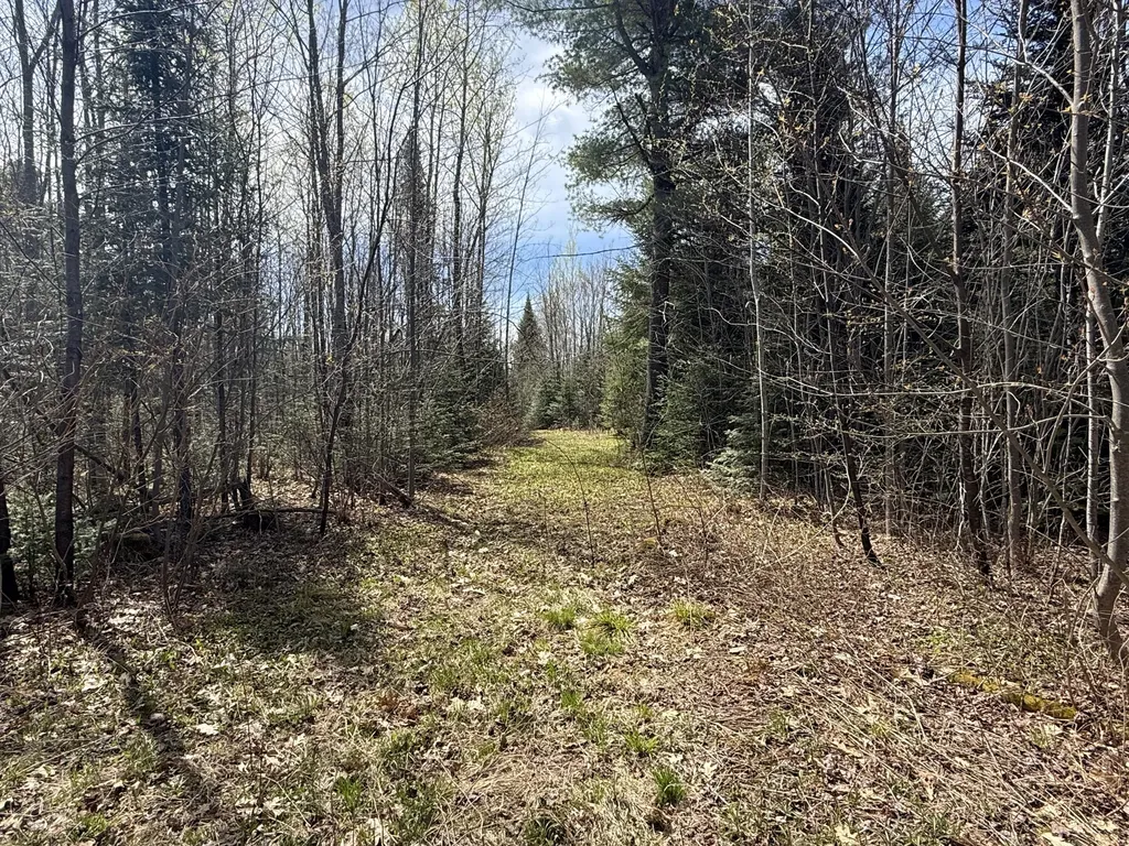 Lot 7 Wilcox Road Cary Plt ME 04471