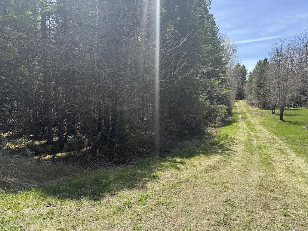 Lot 7 Wilcox Road Cary Plt ME 04471