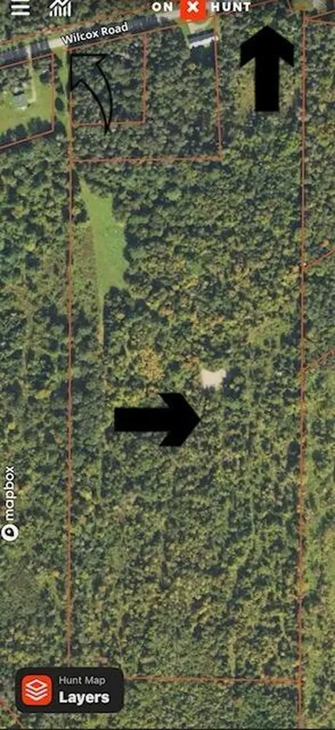 Lot 7 Wilcox Road Cary Plt ME 04471