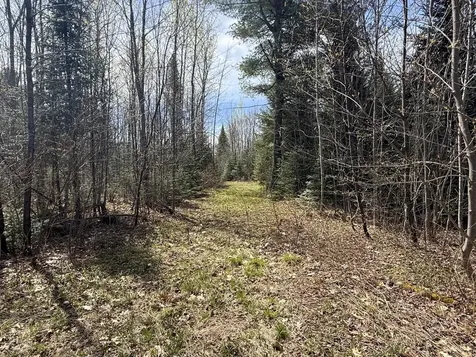 Lot 7 Wilcox Road Cary Plt ME 04471