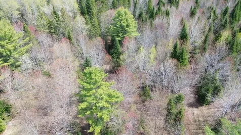 Lot 7 Wilcox Road Cary Plt ME 04471