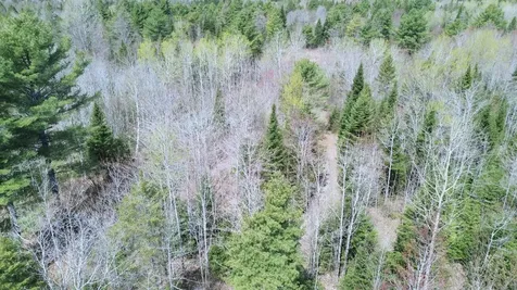 Lot 7 Wilcox Road Cary Plt ME 04471