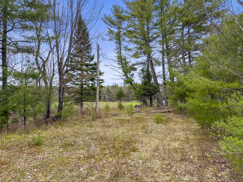 64 Coburn Road Carthage ME 04224