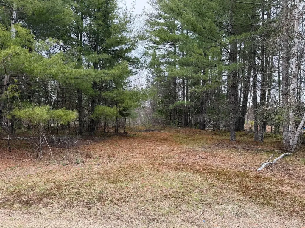 64 Coburn Road Carthage ME 04224