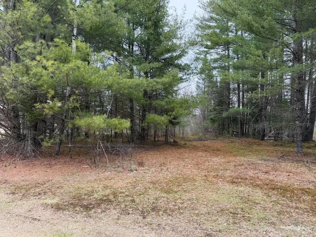 64 Coburn Road Carthage ME 04224