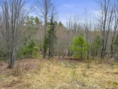 64 Coburn Road Carthage ME 04224