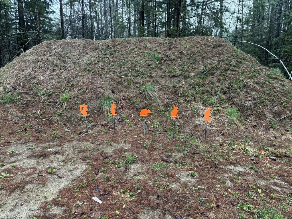 29 Farnsworth Road Fryeburg ME 04037