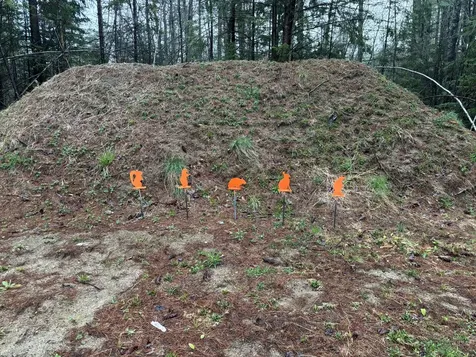 29 Farnsworth Road Fryeburg ME 04037