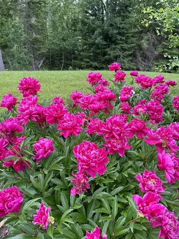 30 Merritt Drive Orono ME 04473