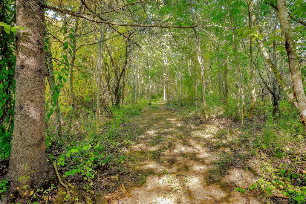 87 Carter Point Road Sedgwick ME 04676