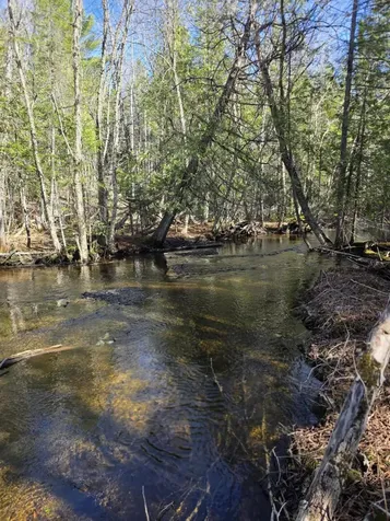 L-a South W Ridge Road Littleton ME 04730