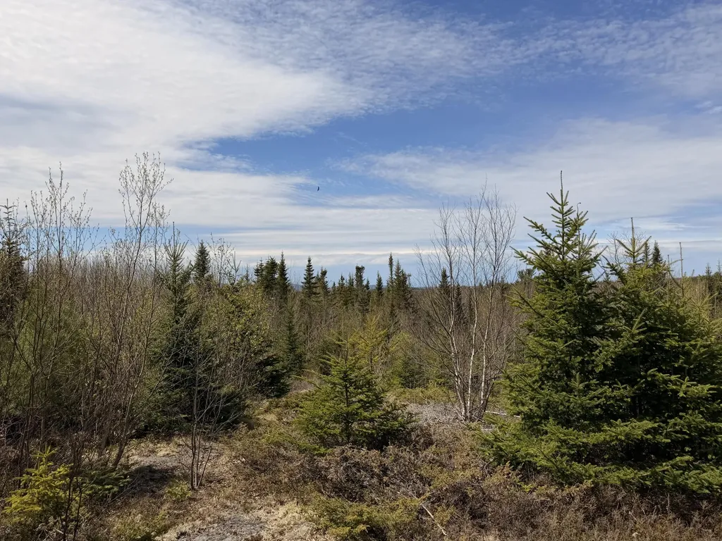 76 Morancy Road Sullivan ME 04664