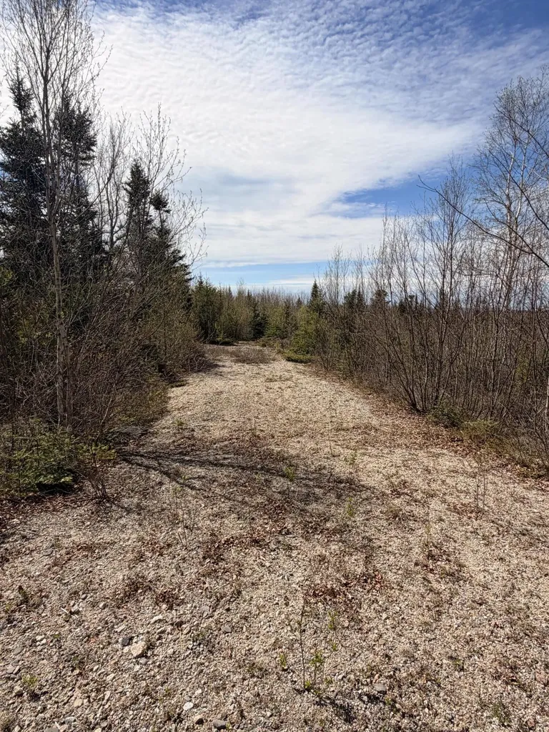 76 Morancy Road Sullivan ME 04664
