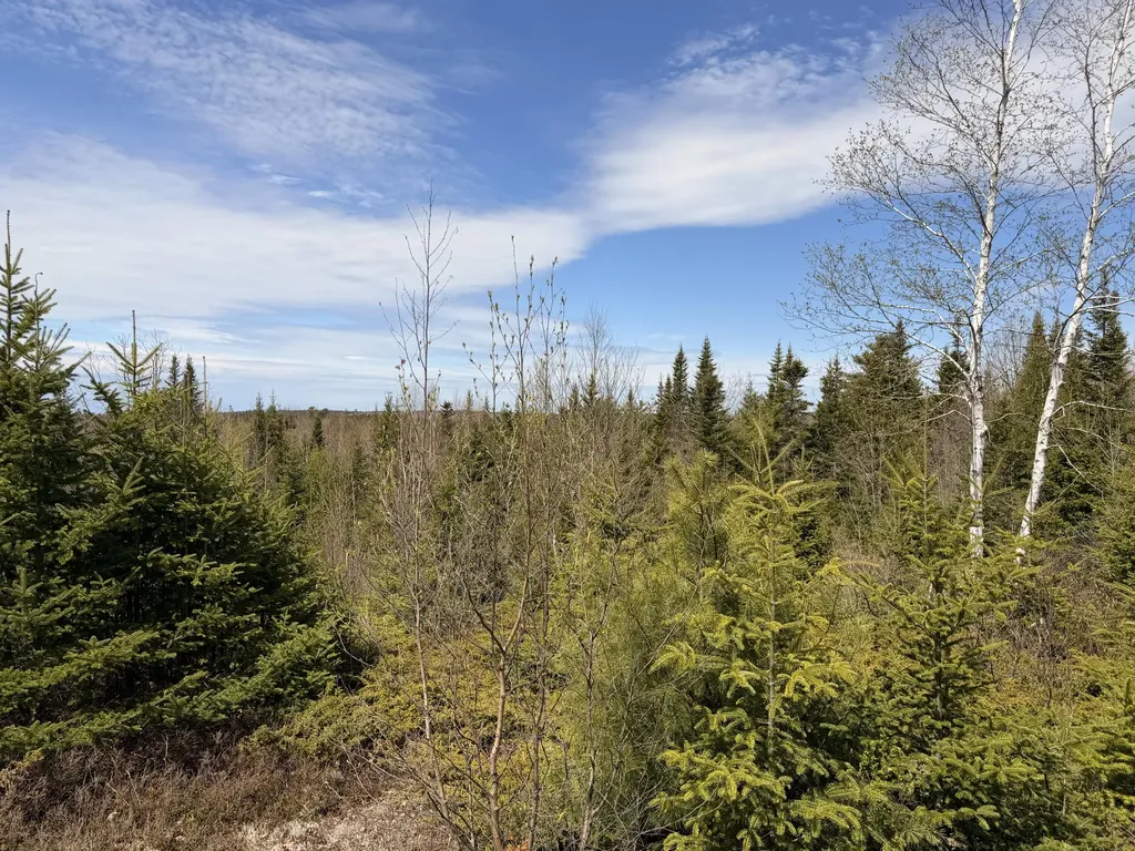 76 Morancy Road Sullivan ME 04664