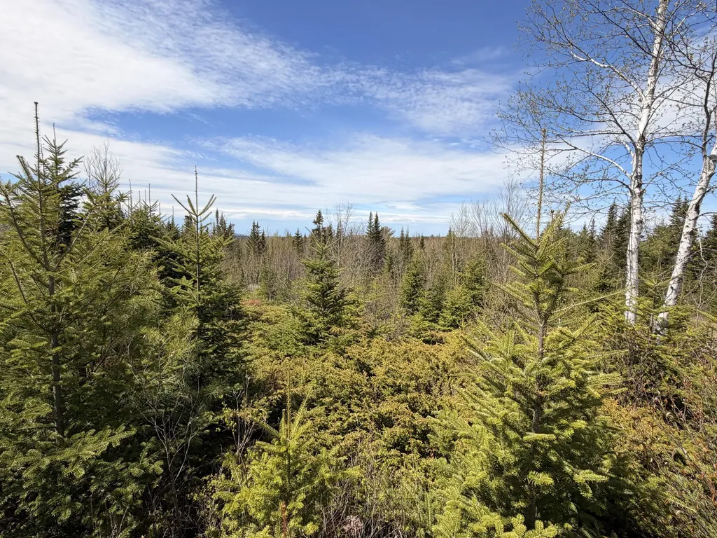 76 Morancy Road Sullivan ME 04664