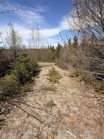 76 Morancy Road Sullivan ME 04664